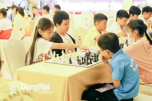 178 kỳ thủ tham dự Giải cờ vua Đồng Nai Chess mở rộng lần 4 năm 2025