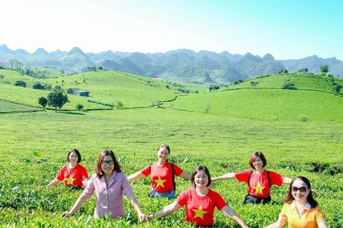 Khám phá du lịch Đồi chè Long Cốc