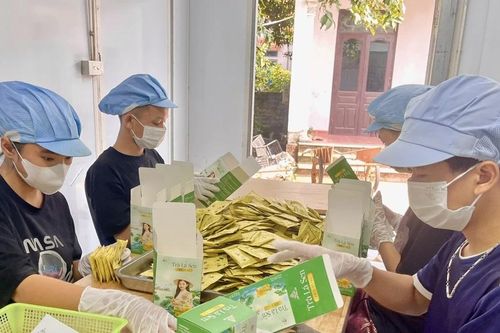 Tăng giá trị nông sản theo tiêu chuẩn VietGAP