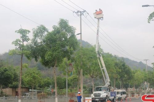 Đảm bảo hành lang an toàn lưới điện cao áp
