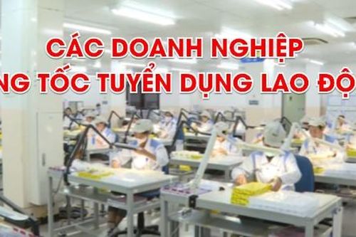 Bản tin Kinh tế tuần 2, tháng 8/2025: Các doanh nghiệp tăng tốc tuyển dụng lao động