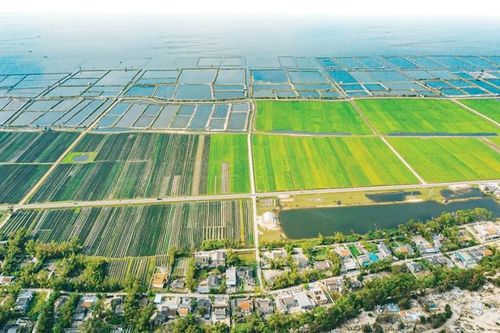 Ngày mới bên phá Tam Giang