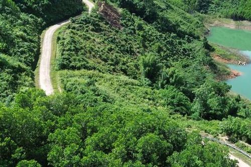 Người dân Tây Bắc Quảng Ngãi vượt trăm cây số đường hiểm trở về trung tâm tỉnh