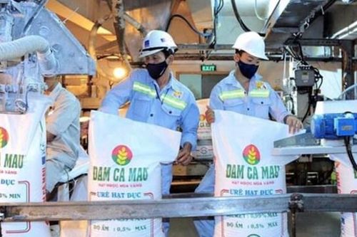 Lợi nhuận ngành phân bón bùng nổ: Đạm Cà Mau (DCM) và Đạm Phú Mỹ (DPM) lãi lớn, một doanh nghiệp lỗ nặng 270 tỷ