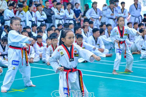 Trên 690 võ sinh tham gia Kỳ thi thăng đẳng Taekwondo năm 2025