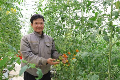 Tây Ninh vươn mình thành thủ phủ nông nghiệp công nghệ cao của phía Nam