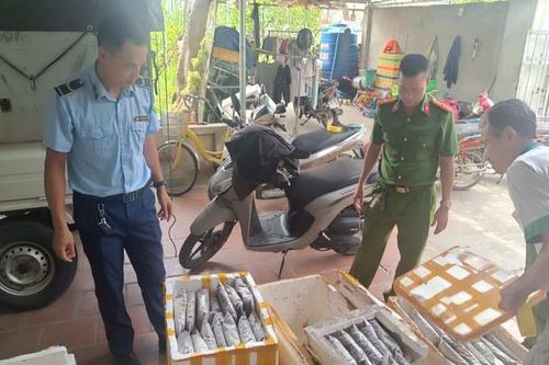 Thanh Hóa: Phát hiện hơn 1 tấn côn trùng, động vật bốc mùi hôi