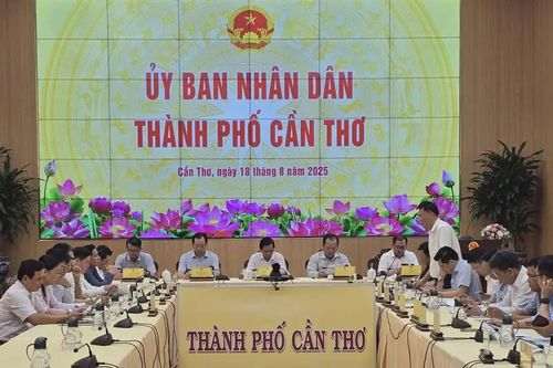 Cần Thơ: lập tổ công tác, rà soát pháp lý để tái khởi động dự án Trung tâm Văn hóa Tây Đô