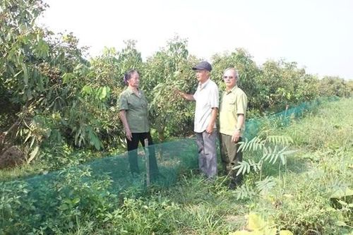 Cựu Thanh niên xung phong và khát vọng xanh trên mảnh đất quê hương