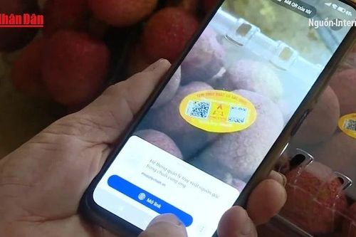 Công nghệ số - lá chắn chống hàng giả trên thương mại điện tử