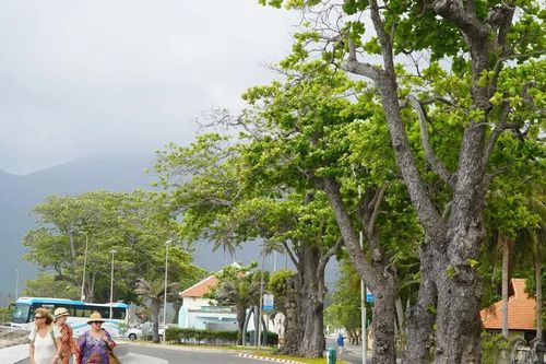 Côn Đảo - Dấu ấn lịch sử trong bản đồ văn hóa TPHCM