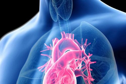 Hé lộ khả năng 'miễn ung thư' của trái tim