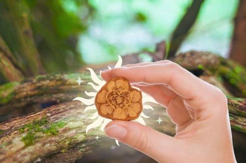 Ayahuasca: Sự giải thoát hay giáo phái thời đại mới?