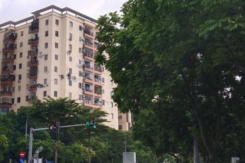 Đèn xanh cố tình dừng không đi bị phạt thế nào?