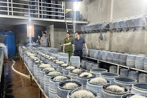 Nghịch lý tiêu chuẩn kép nông sản Việt - kỳ 5: Báo động về an toàn thực phẩm