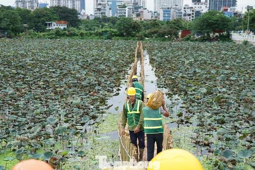 Công nhân tất bật nắn dòng tạo hồ lắng để bổ cập nước hồ Tây