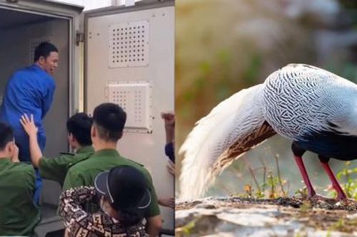 Lời kêu oan đã thấu 'Trời'