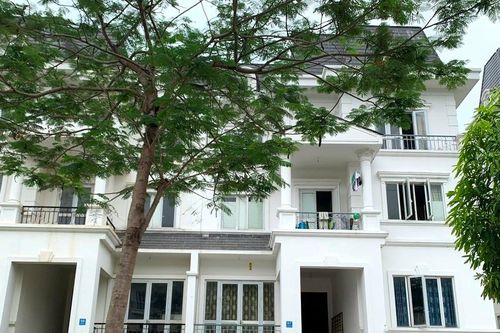 Hộ kinh doanh, cá nhân cho thuê nhà, văn phòng cần chú ý nộp 3 loại thuế