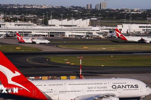 Hãng bay Qantas bị phạt 59 triệu USD vì sa thải nhân viên bất hợp pháp