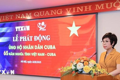 Thông tấn xã Việt Nam tổ chức Lễ phát động ủng hộ nhân dân Cuba trong toàn ngành