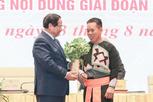 Chàng trai người Mông 9X khởi nghiệp từ trồng rau an toàn