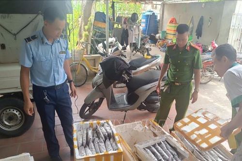 Tiêu hủy hơn 1.000 kg các loại côn trùng không rõ nguồn gốc xuất xứ