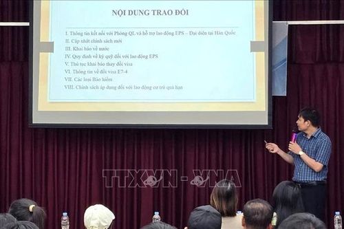 Tư vấn pháp luật cho lao động Việt Nam tại Hwaseong, Hàn Quốc