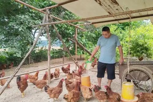 Từng mất trắng hơn 200 triệu, nay giàu to nhờ lên núi nuôi loài 'nhả vàng'