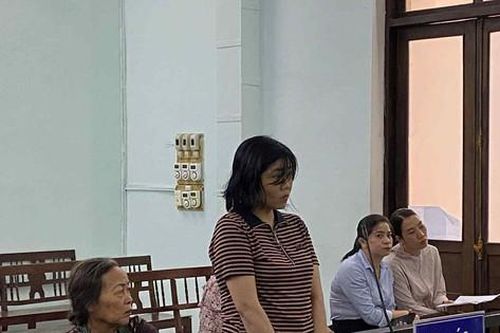 Mua bán khống hóa đơn chứng từ, 2 người phụ nữ lĩnh án