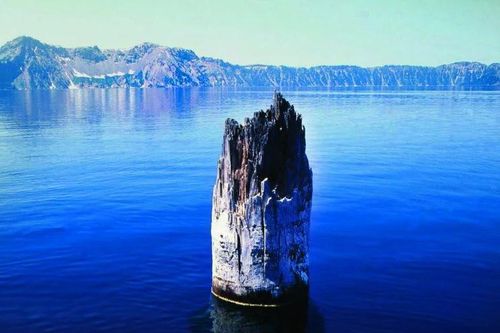 Khúc gỗ huyền bí trên hồ Crater: 450 năm tuổi, 120 năm không chìm, ẩn chứa sức mạnh thời tiết?