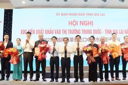 Công nghệ mở đường cho nông sản Gia Lai vào Trung Quốc