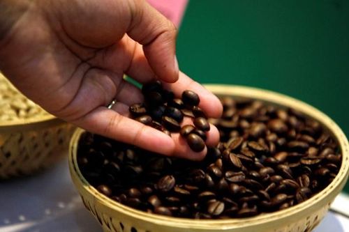 Đón đầu 'cơn sóng' tăng trưởng mới cho cà phê tại Ấn Độ