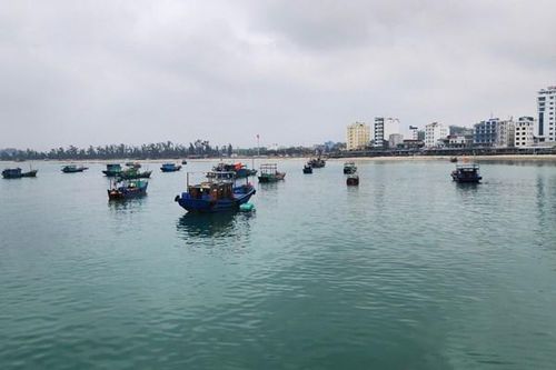 Cô Tô sẽ xử lý toàn bộ rác thải đại dương