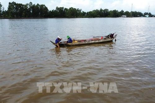 Mưu sinh theo con nước nổi đất Sen hồng