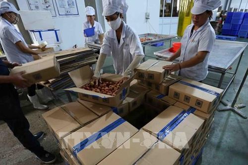 Bộ Công Thương hướng dẫn áp dụng Quy tắc xuất xứ AANZFTA