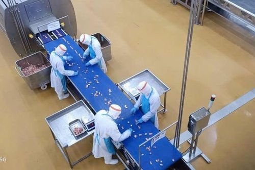 Doanh thu quý II/2025 của C.P. Việt Nam giảm mạnh