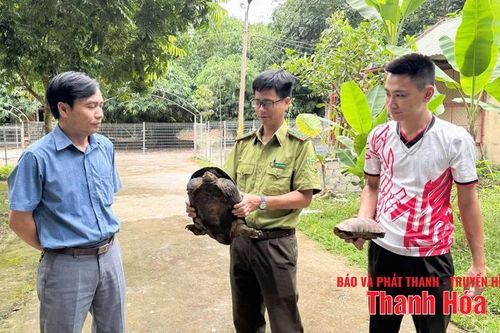 Bảo tồn đa dạng sinh học để phát triển bền vững