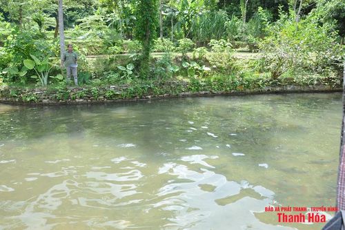 Trại cá Dầm xanh bên suối Pượn