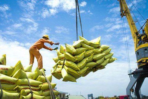 Thấy gì từ kết quả kinh doanh của ngành gạo trong quý II?