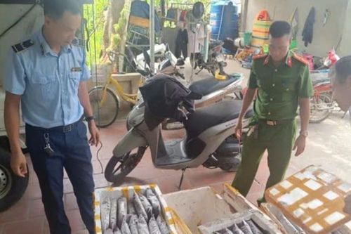 Thanh Hóa bắt, tiêu hủy gần 1,2 tấn côn trùng, động vật bốc mùi chuẩn bị bán làm thực phẩm