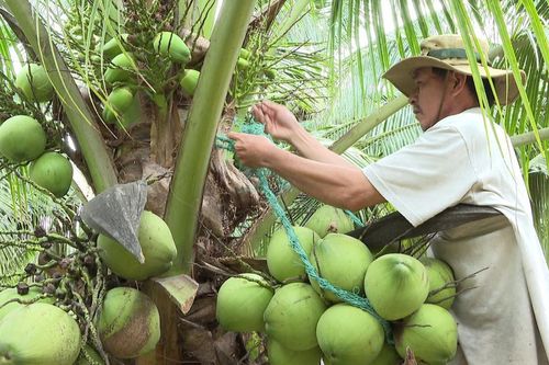 Loạt doanh nghiệp lớn Trung Quốc sẽ sang tìm kiếm đối tác tại VIS 2025