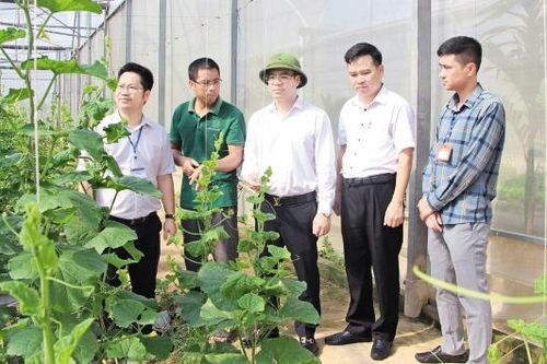 Phường Tân An: Phát triển toàn diện, bền vững, chung sức đưa tỉnh trở thành thành phố trực thuộc Trung ương