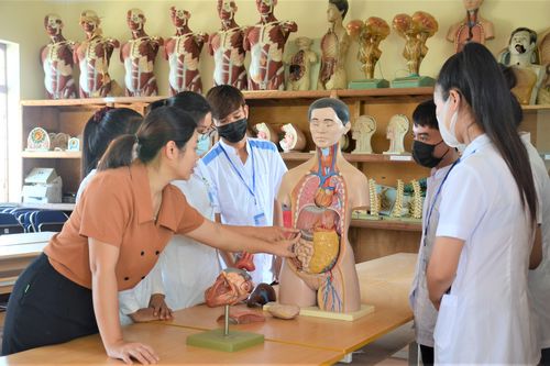Tích cực chuẩn bị thành lập phân hiệu đại học tại Điện Biên