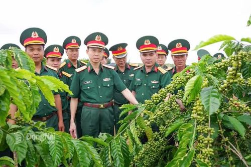 CHÀO MỪNG ĐẠI HỘI ĐẢNG BỘ CÁC CẤP, ĐẠI HỘI ĐẢNG BỘ TỈNH NHIỆM KỲ 2025-2030 VÀ ĐẠI HỘI LẦN THỨ XIV CỦA ĐẢNG Binh đoàn 16: Từ dấu ấn nhiệm kỳ đến tầm nhìn tương lai