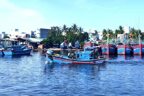 Hoài Nhơn Bắc đầu tư xây dựng kết cấu hạ tầng một cách đồng bộ