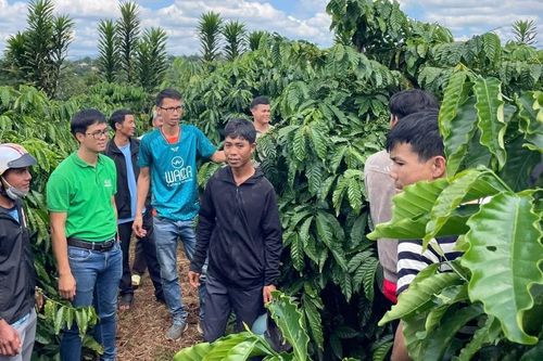 IPHM giúp nông dân bứt phá sang nông nghiệp xanh