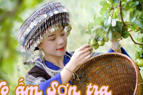 No ấm sơn tra