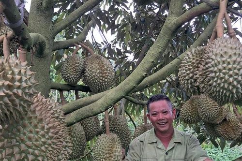 Nâng cao thu nhập - mục tiêu xuyên suốt trong xây dựng nông thôn mới