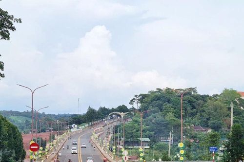 Họ đang đi 'làm cách mạng' đó