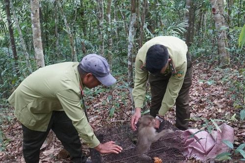 Nỗ lực bảo tồn đa dạng sinh học, bảo tồn thiên nhiên